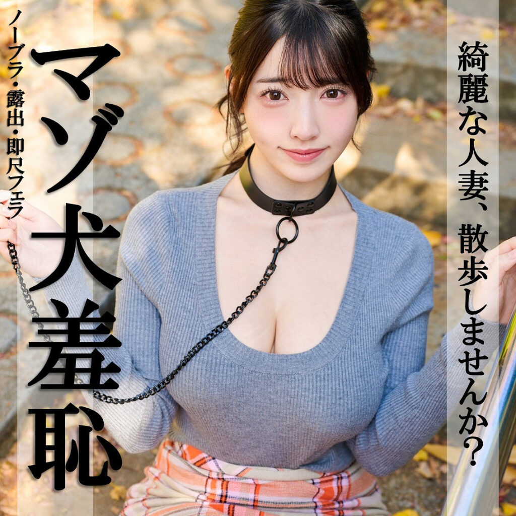 Pai376jp